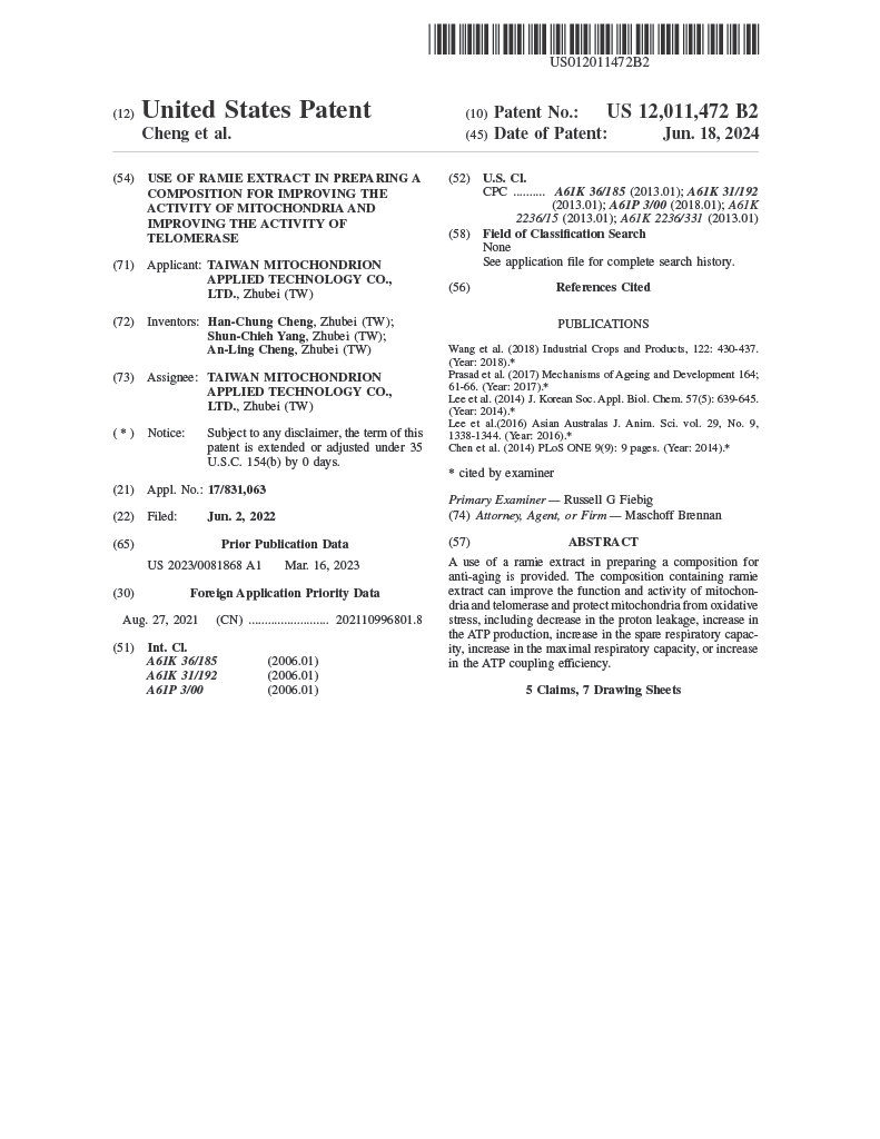 US Patent patent